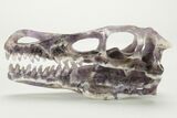 Carved Amethyst Dinosaur Crystal Skull - Ferocious! #227046-4